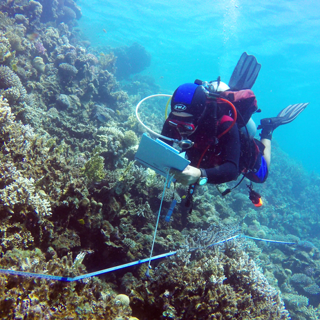 Reef Check EcoDiver